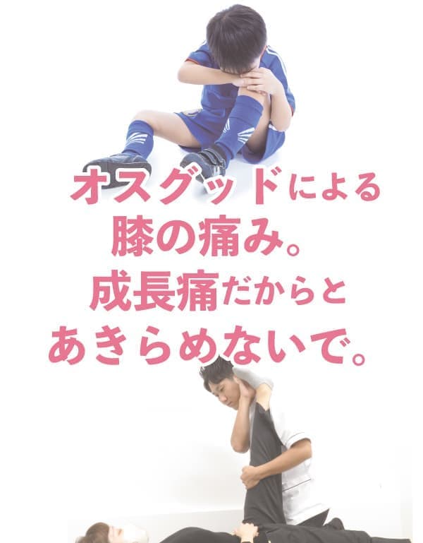 ふくらはぎ